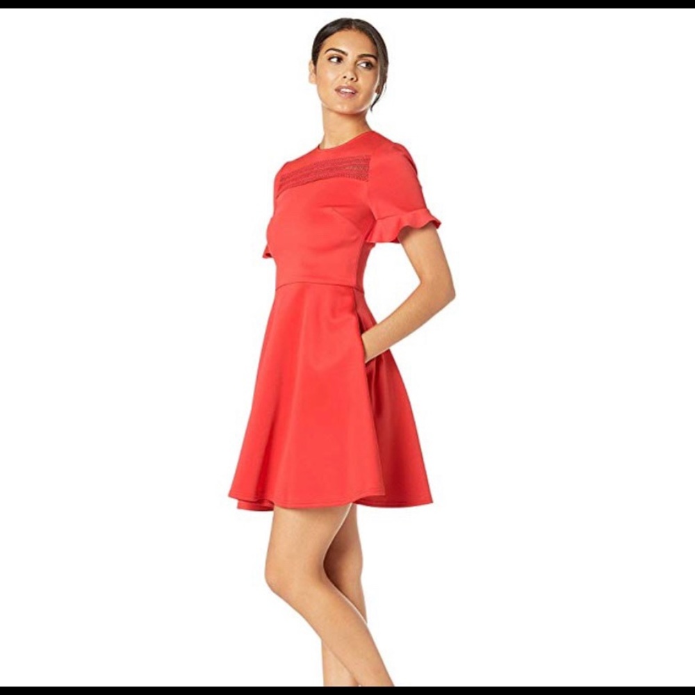 NEW Ted Baker Calizee Dress